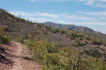 photo thumbnail #12