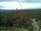 photo thumbnail #2