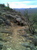 photo thumbnail #4