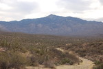 photo thumbnail #1