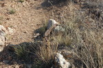 photo thumbnail #3