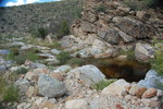photo thumbnail #1