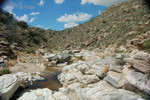 photo thumbnail #2