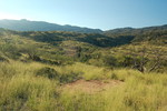 photo thumbnail #3