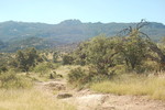 photo thumbnail #11