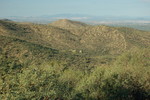 photo thumbnail #13