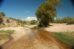 photo thumbnail #15