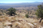photo thumbnail #6