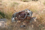 photo thumbnail #11