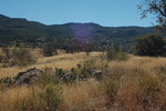 photo thumbnail #11