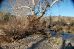 photo thumbnail #5