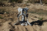 photo thumbnail #13