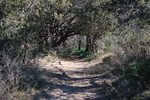 photo thumbnail #14