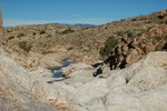 photo thumbnail #7