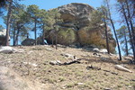 photo thumbnail #4
