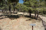 photo thumbnail #9