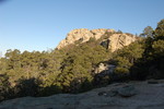 photo thumbnail #2