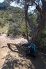 photo thumbnail #6