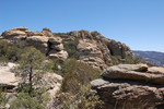 photo thumbnail #11