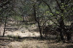 photo thumbnail #12