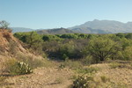 photo thumbnail #2