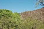 photo thumbnail #14