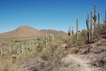 photo thumbnail #10