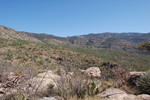 photo thumbnail #3