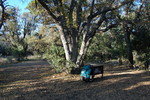 photo thumbnail #7