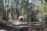 photo thumbnail #3