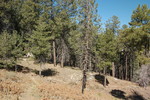 photo thumbnail #8