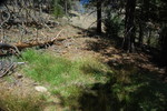 photo thumbnail #10