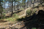 photo thumbnail #14
