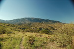 photo thumbnail #8