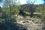 photo thumbnail #10