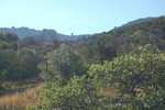 photo thumbnail #12