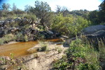 photo thumbnail #13