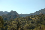photo thumbnail #15