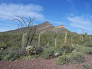 photo thumbnail #5