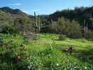 photo thumbnail #12