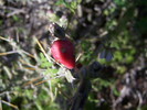 photo thumbnail #13