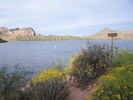 photo thumbnail #13