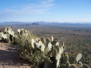 photo thumbnail #12