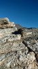 2017-04-04 :2: Blacketts Ridge :: Roxyflute5
