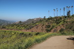 photo thumbnail #8
