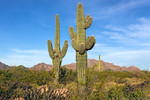 photo thumbnail #8