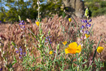 photo thumbnail #14