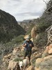 photo thumbnail #2