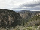 photo thumbnail #4