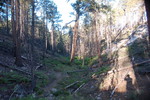 photo thumbnail #5